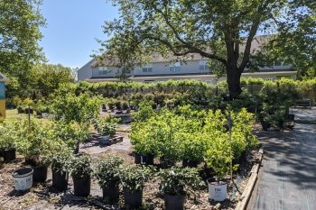 Inland Bays Garden Center