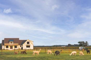 Four Acres Living