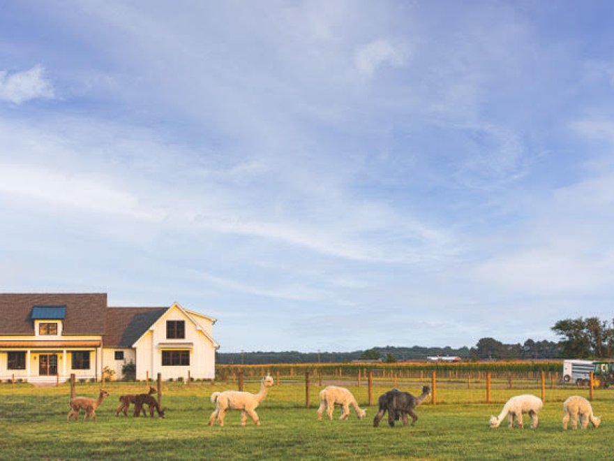 Four Acres Living