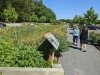 Delaware Botanic Gardens at Pepper Creek