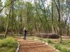 Delaware Botanic Gardens at Pepper Creek