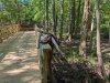 Delaware Botanic Gardens at Pepper Creek