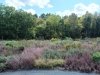 Delaware Botanic Gardens at Pepper Creek