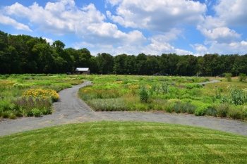 Delaware Botanic Gardens at Pepper Creek