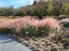 Delaware Botanic Gardens at Pepper Creek
