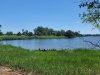 Delaware Botanic Gardens at Pepper Creek