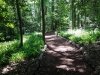 Delaware Botanic Gardens at Pepper Creek