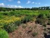 Delaware Botanic Gardens at Pepper Creek