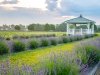 Brittingham Farms