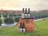 Brittingham Farms