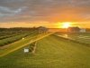 Brittingham Farms