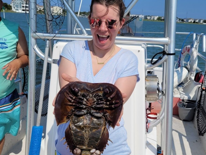 Crab Claws Adventures