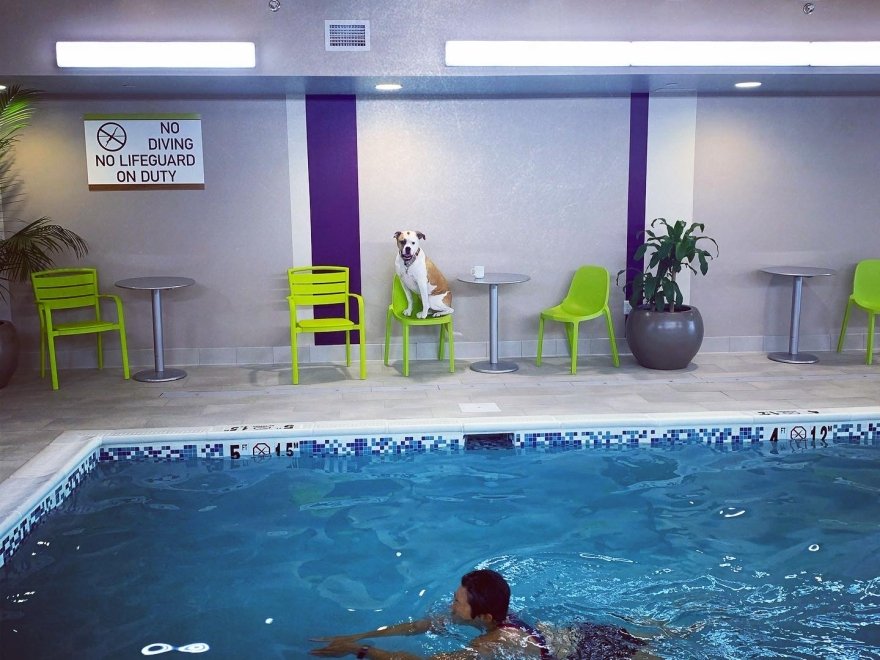 Home2 Suites by Hilton Lewes Rehoboth Beach