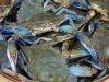 The Crab Connect