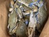 The Crab Connect