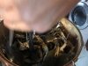 The Crab Connect