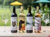 Twin Branch Winery