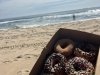 Sandy Pony Donuts
