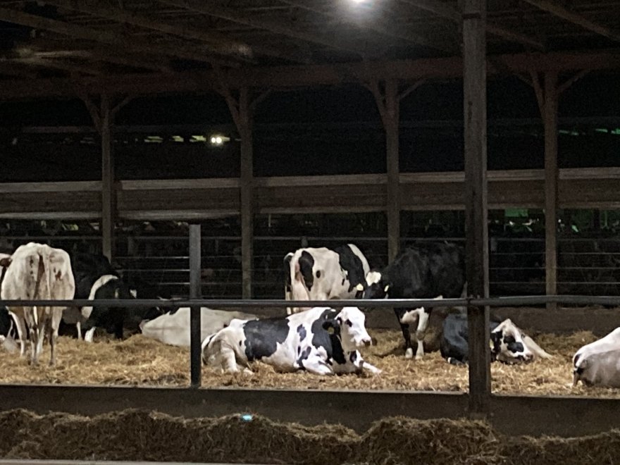 Hopkins Farm Creamery