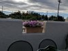McCabe's Gourmet Market