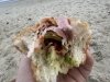 Capriotti's Sandwich Shop