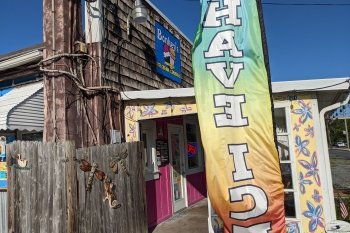 Bonkey's Ice Cream & Snoballs