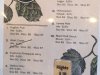 Lewes Brewing Company