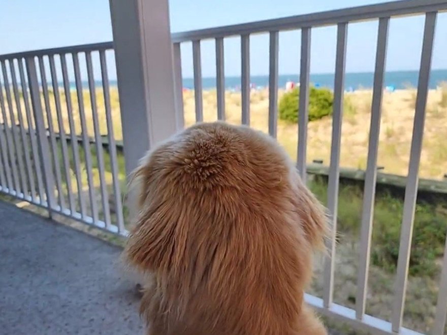 Berkshire Hathaway HomeServices PenFed Realty: Rehoboth/Dewey Beach