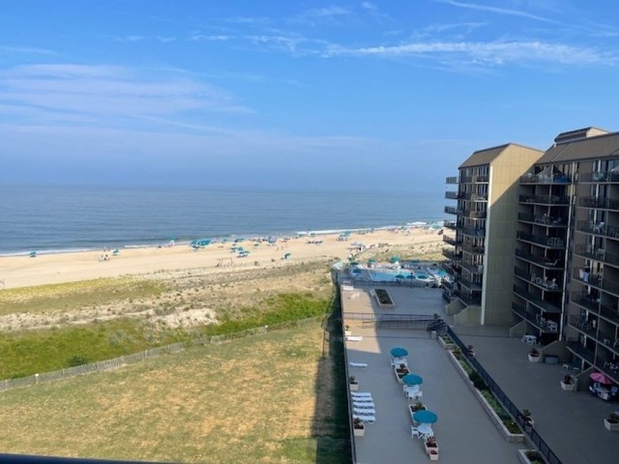 Berkshire Hathaway HomeServices PenFed Realty: Rehoboth/Dewey Beach