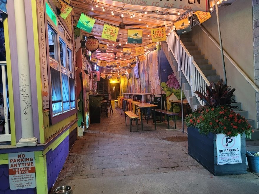 Purple Parrot Grill