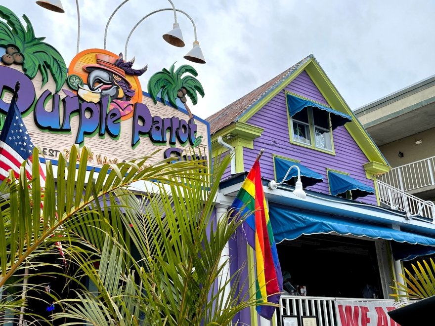 Purple Parrot Grill