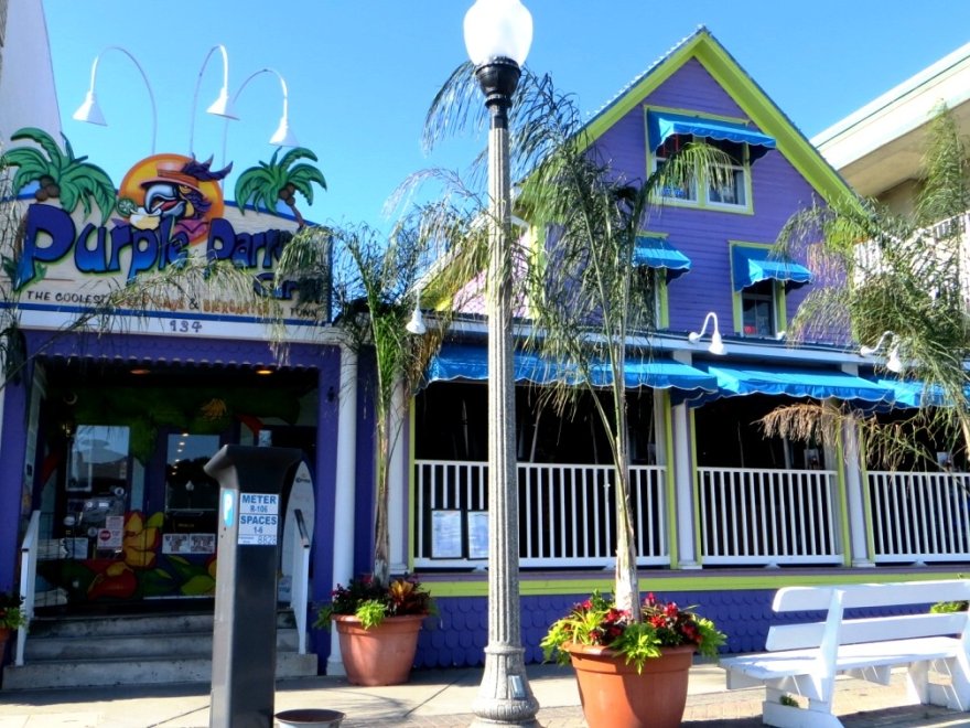 Purple Parrot Grill