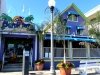 Purple Parrot Grill