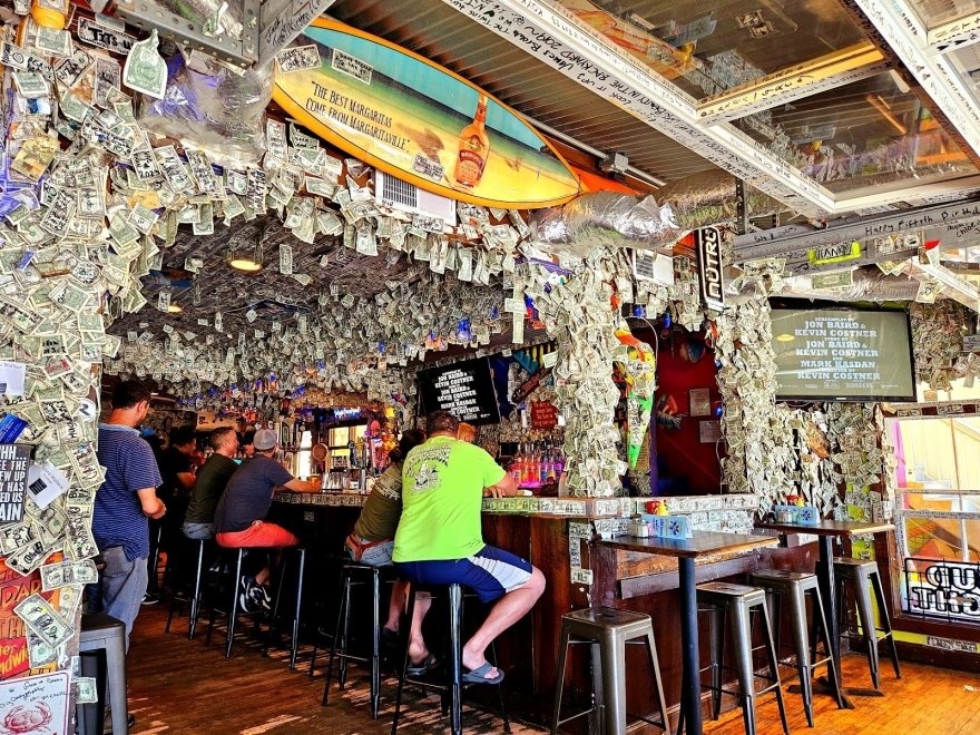 Purple Parrot Grill