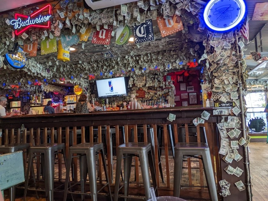 Purple Parrot Grill