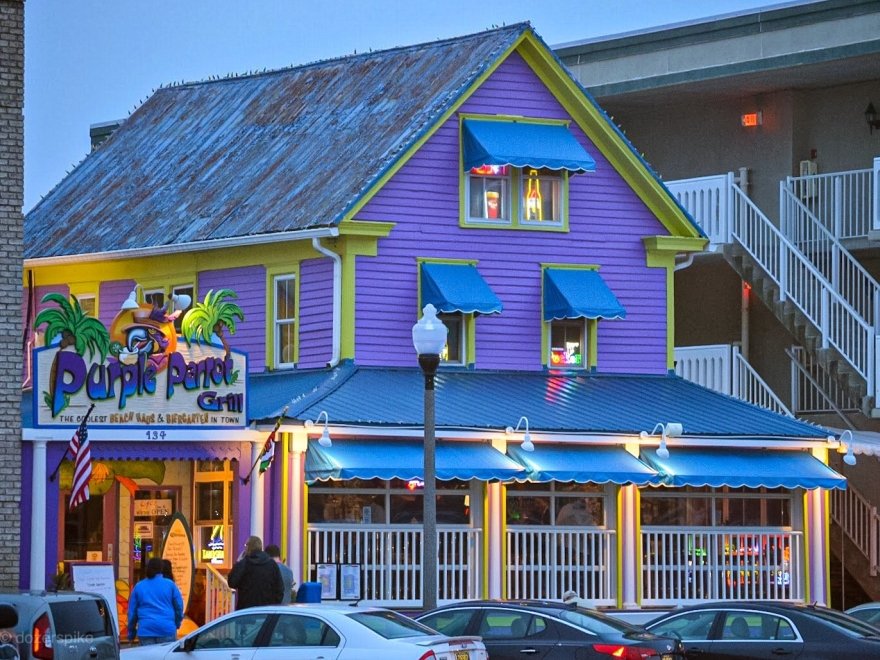 Purple Parrot Grill