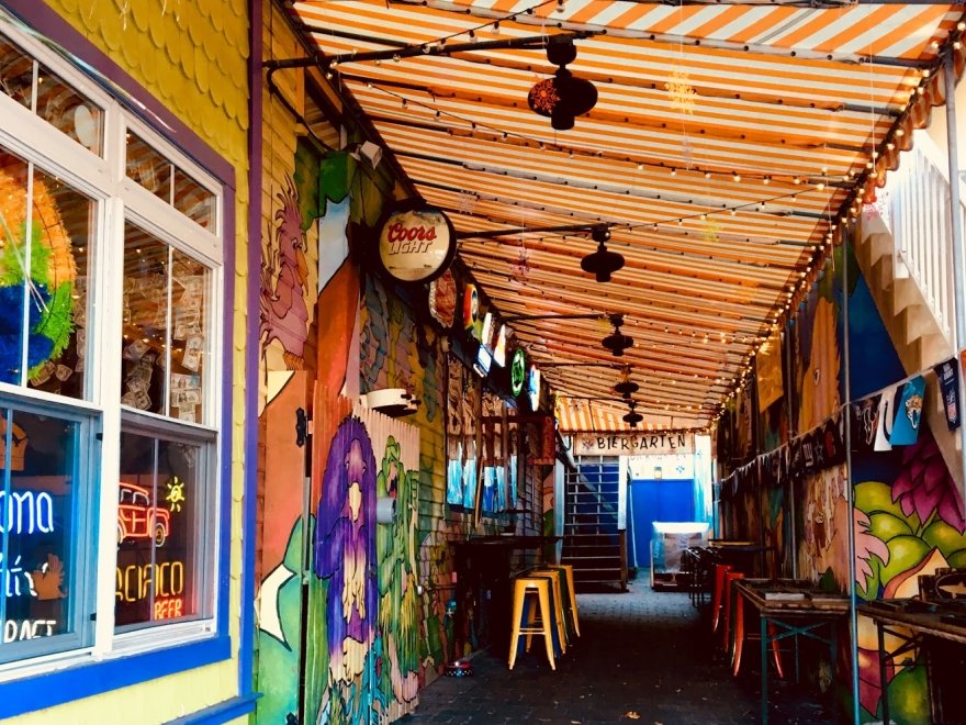 Purple Parrot Grill