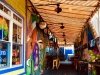 Purple Parrot Grill