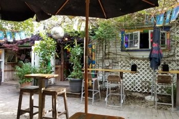 Purple Parrot Grill