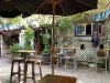 Purple Parrot Grill