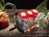 Saketumi