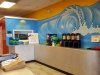 Surf Bagel Midway