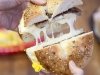 Surf Bagel Midway