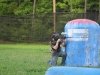 Precision Paintball
