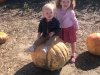Mr. Pepper's Pumpkin Patch