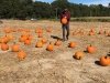 Mr. Pepper's Pumpkin Patch