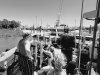 Pirates of Lewes Expeditions