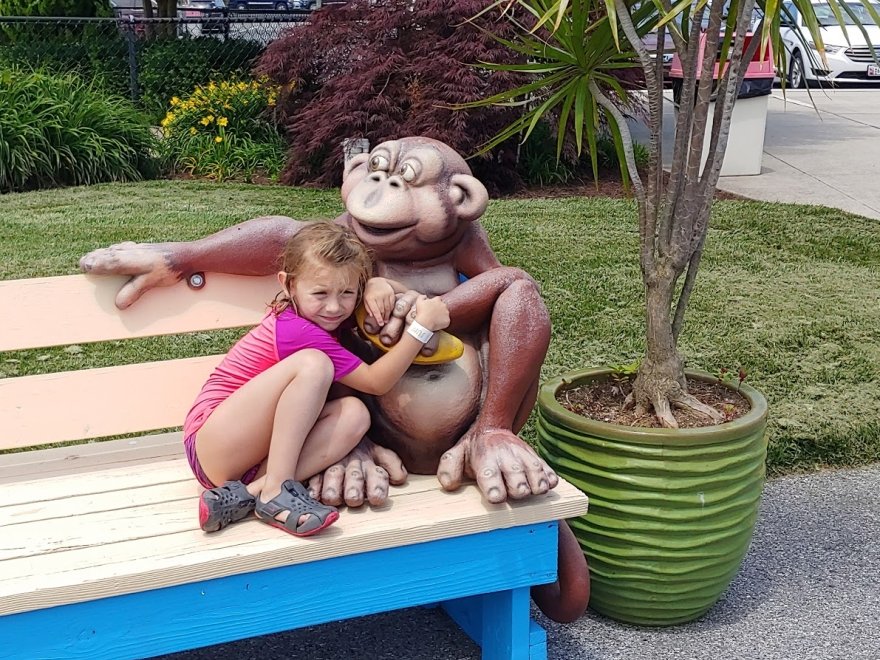 Jungle Jim's River Safari Water Park