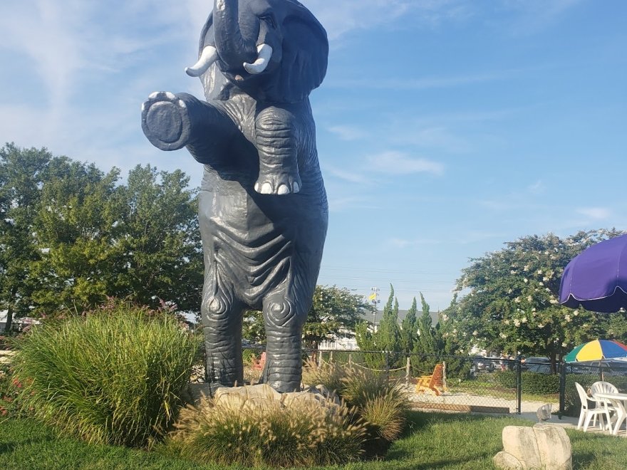 Jungle Jim's River Safari Water Park