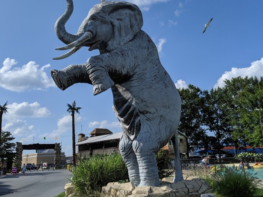 Jungle Jim's River Safari Water Park